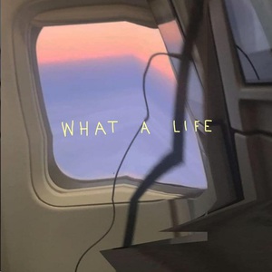 What A Life (CDS)