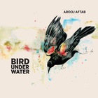 Arooj Aftab - Bird Under Water (EP)