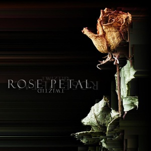 Rose Petal (CDS)