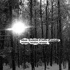 Adam Franklin - Winter, Winter, Winter (With Bolts Of Melody) (CDS)