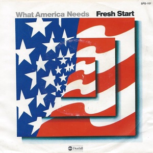 What America Needs (Vinyl)