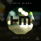 Hybrid Minds - Lost Vip (CDS)