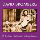 David Bromberg - You Should See The Rest Of The Band