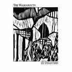 The Walkabouts - 22 Disasters (Vinyl)