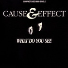Cause & Effect - What Do You See? (MCD)