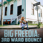 Big Freedia - 3rd Ward Bounce (EP)