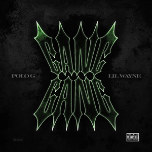 Gang Gang (With Lil Wayne) (CDS)