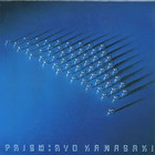 Ryo Kawasaki - Prism (Vinyl)