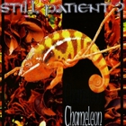 Still Patient? - Chameleon (EP)