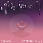 Turkuaz - Afterlife Vol. 2 (With David Brandwein) (EP)