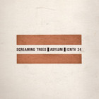 Screaming Trees - Asylum (VLS)