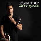 Dave Gross - Crawling The Walls