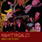 Nightingales - What's Not To Love?