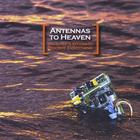 Antennas to Heaven - You Have 6 Weeks To Destroy Everything
