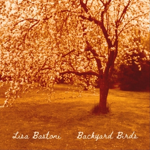 Backyard Birds