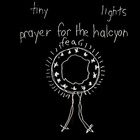 Prayer For The Halcyon Fear (Vinyl)