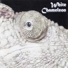 White Chameleon