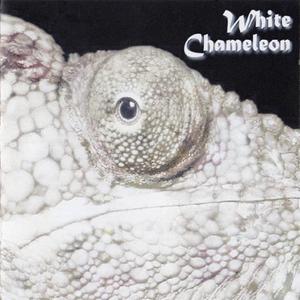 White Chameleon