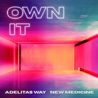 Adelitas Way - Own It (CDS)