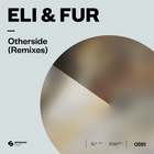 Otherside (Remixes) (CDS)