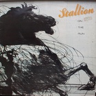 Stallion - On The Run (Vinyl)