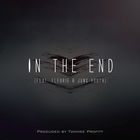 In The End (CDS)