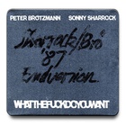Peter Brotzmann - Whatthefuckdoyouwant (With Sonny Sharrock)