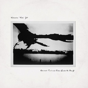 Classical Punk And Echoes Under The Beauty