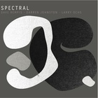 Dave Rempis - Spectral (With Darren Johnston & Larry Ochs)