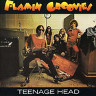 The Flamin' Groovies - Teenage Head (Reissued 2009)