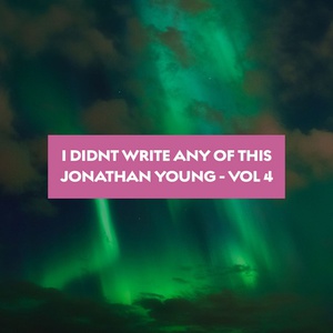 I Didn't Write Any Of This Vol. 4