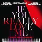 If You Really Love Me (How Will I Know) (With Mistajam & John Newman) (CDS)