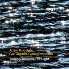 Turning Towards The Light (With Go: Organic Orchestra)