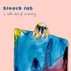 Bleach Lab - A Calm Sense Of Surrounding (EP)