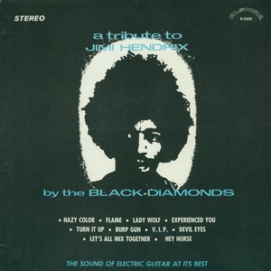 A Tribute To Jimi Hendrix