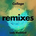 Collage (Remixes)