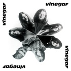 Vinegar - Vinegar (Vinyl)