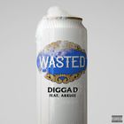 Digga D - Wasted (With Arrdee) (CDS)