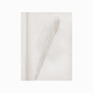 A Mirror Holds The Sky