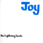 Lightning Seeds - Joy (VLS)