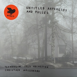 Untitled Arpeggios And Pulses (With Christian Wallumrød)