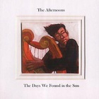 The Afternoons - Days We Found In The Sun