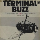 Spectrum - Terminal Buzz (Vinyl)