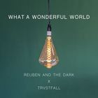 What A Wonderful World (Acoustic) (Feat. Trvstfall) (CDS)