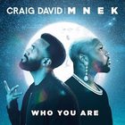 Craig David - Who You Are (With Mnek) (CDS)