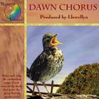 Llewellyn - Dawn Chorus