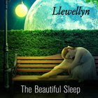 Llewellyn - The Beautiful Sleep (CDS)