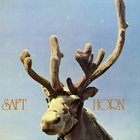 Saft - Horn (Vinyl)