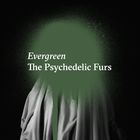 The Psychedelic Furs - Evergreen (CDS)