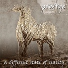 Proage - A Different State Of Reality